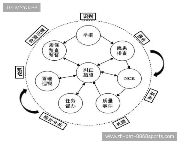 成都网球队战术解析:从基础训练到比赛策略的全面探讨与提升 成都网球队战术解析:从基础训练到比赛策略的全面探讨与提升