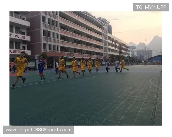 武汉篮球队心理素质分析及其对比赛表现的影响研究 武汉篮球队心理素质分析及其对比赛表现的影响研究